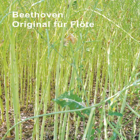 Beethoven Original für Flöte